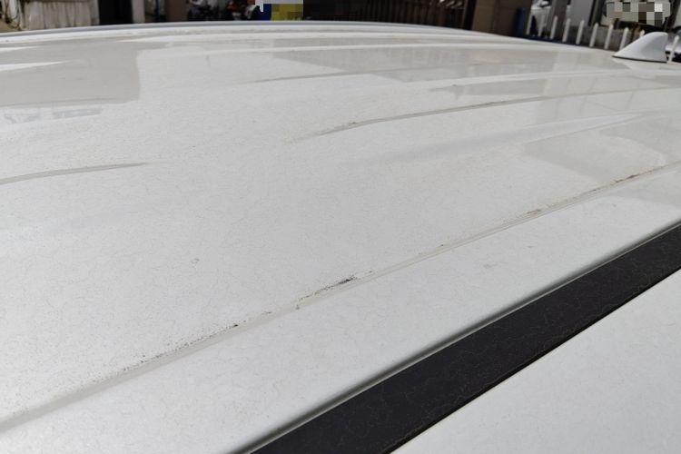 Used Toyota RAV4 2022 2.0L CVT Two-Wheel Drive Urban Edition Roof