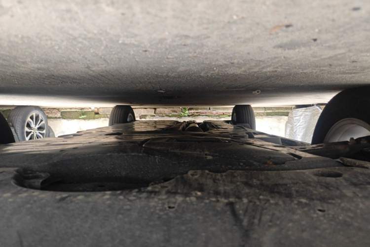 Used Toyota RAV4 2023 2.0L CVT Two-Wheel Drive Urban Edition Chassis Front