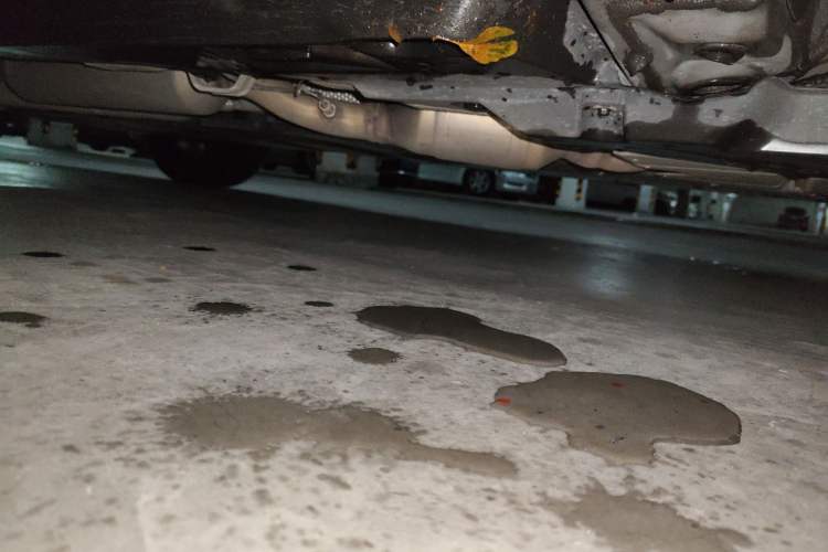Used Toyota RAV4 2023 Dual-Engine 2.5L E-CVT Two-Wheel Drive Elite Plus Edition Chassis Front Right