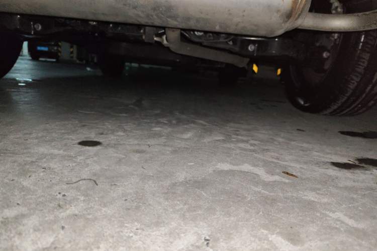 Used Toyota RAV4 2023 Dual-Engine 2.5L E-CVT Two-Wheel Drive Elite Plus Edition Chassis Rear