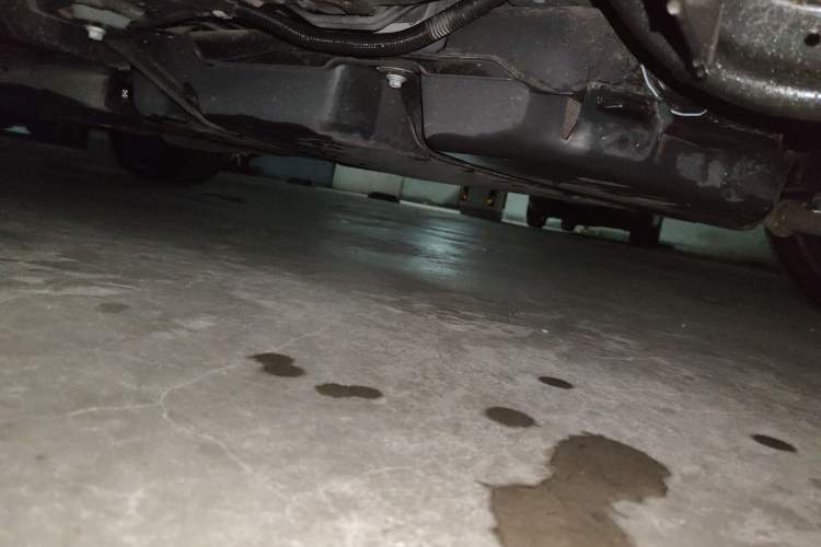 Used Toyota RAV4 2023 Dual-Engine 2.5L E-CVT Two-Wheel Drive Elite Plus Edition Chassis Rear Left