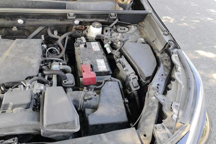 Used Toyota RAV4 2023 2.0L CVT Two-Wheel Drive Fashion Plus Edition Engine Bay Left