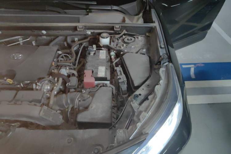 Used Toyota RAV4 2023 2.0L CVT Two-Wheel Drive Fashion Edition Engine Bay Left