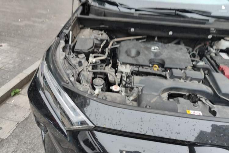 Used Toyota RAV4 2023 2.0L CVT Two-Wheel Drive Fashion Plus Edition Engine Bay Right