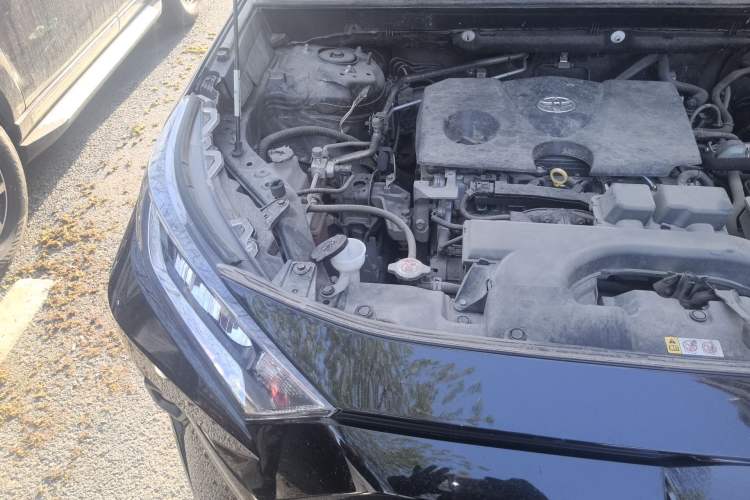 Used Toyota RAV4 2023 2.0L CVT Two-Wheel Drive Urban Edition Engine Bay Right