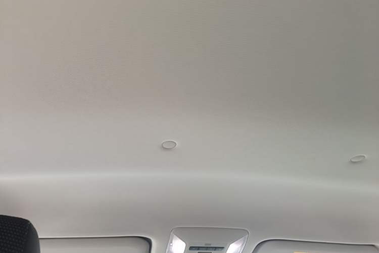 Used Toyota RAV4 2023 2.0L CVT Two-Wheel Drive Urban Edition Headliner