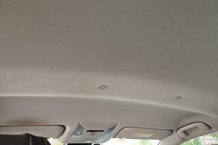 Used Toyota RAV4 2023 2.0L CVT Two-Wheel Drive Urban Edition Headliner