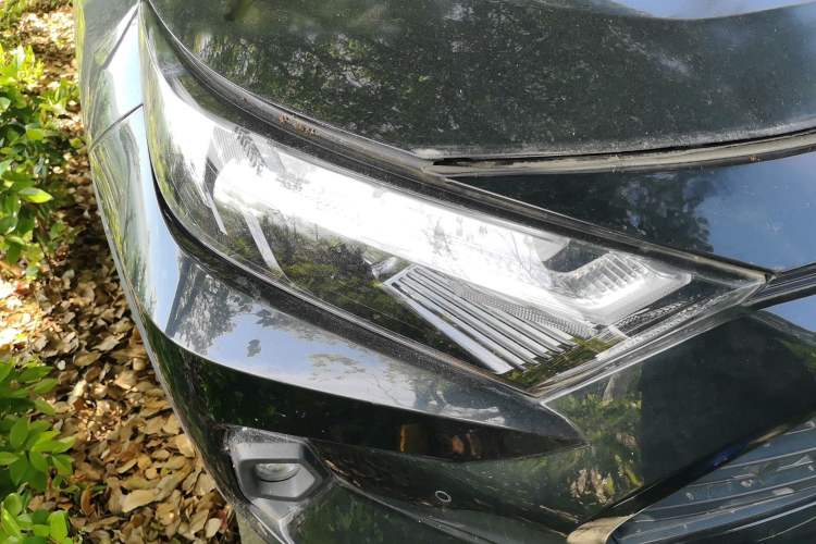 Used Toyota RAV4 2023 2.0L CVT Two-Wheel Drive Fashion Plus Edition Right Front Headlight