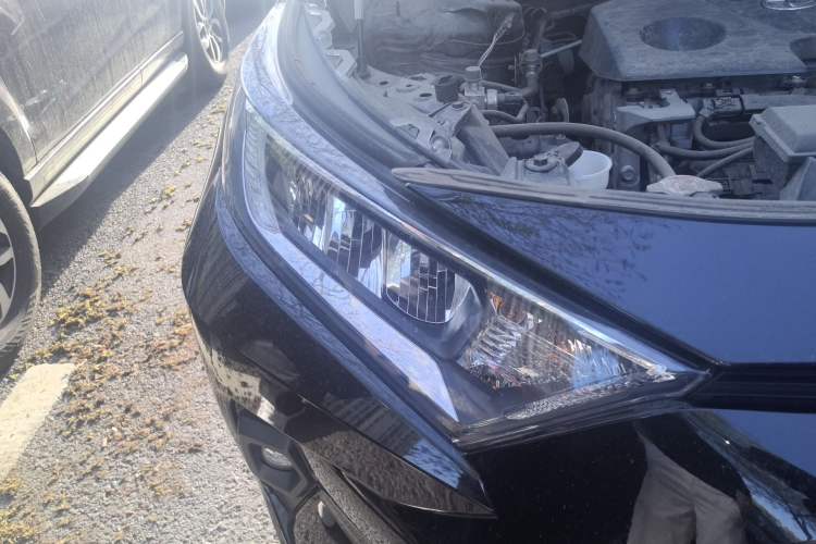Used Toyota RAV4 2023 2.0L CVT Two-Wheel Drive Urban Edition Right Front Headlight