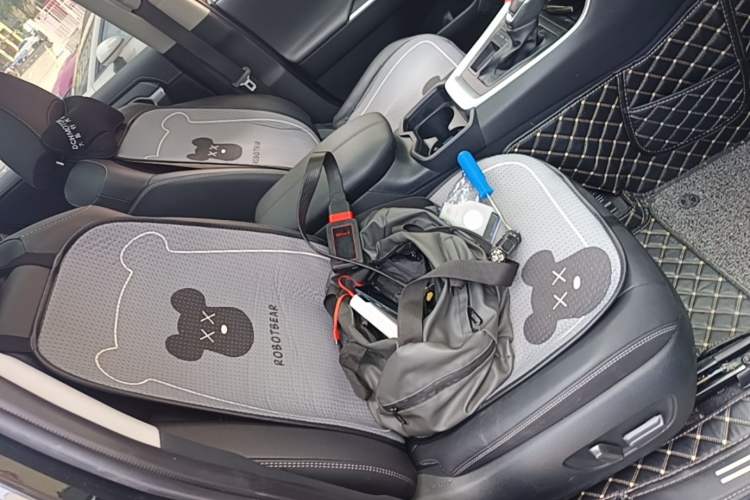 Used Toyota RAV4 2023 2.0L CVT Two-Wheel Drive Fashion Plus Edition Right Front Seat