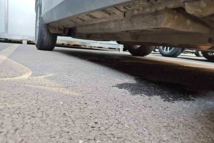 Used Toyota RAV4 2023 2.0L CVT Two-Wheel Drive Urban Edition Right Side Sill