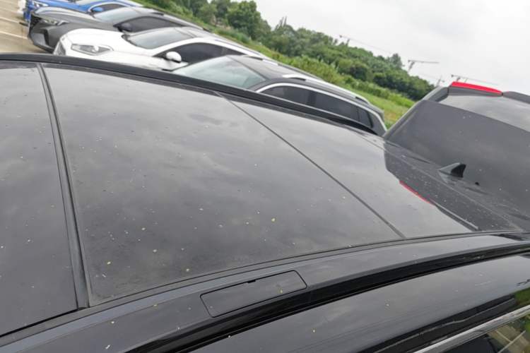 Used Toyota RAV4 2023 2.0L CVT Two-Wheel Drive Fashion Plus Edition Roof