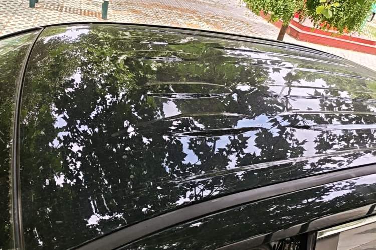Used Toyota RAV4 2023 2.0L CVT Two-Wheel Drive Urban Edition Roof