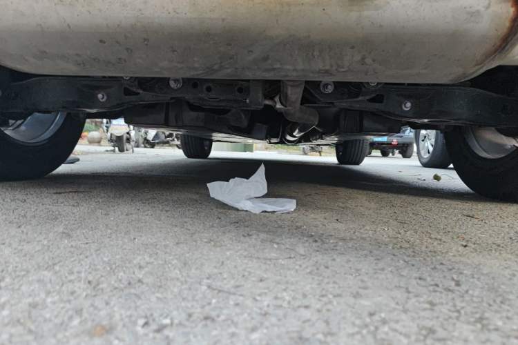 Used Toyota RAV4 2023 2.0L CVT Two-Wheel Drive Fashion Plus Edition Chassis Rear