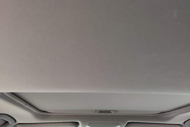 Used Toyota RAV4 2023 2.0L CVT Two-Wheel Drive Fashion Edition Headliner