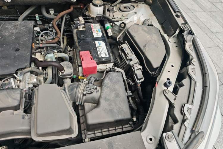 Used Toyota RAV4 2023 2.0L CVT Two-Wheel Drive Urban Edition Engine Bay Left