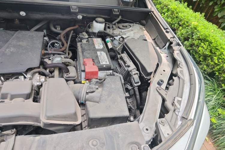 Used Toyota RAV4 2023 2.0L CVT Two-Wheel Drive Fashion Plus Edition Engine Bay Left