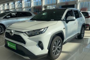 Used Toyota RAV4 2023 2.0L CVT Two-Wheel Drive 20th Anniversary Platinum Edition