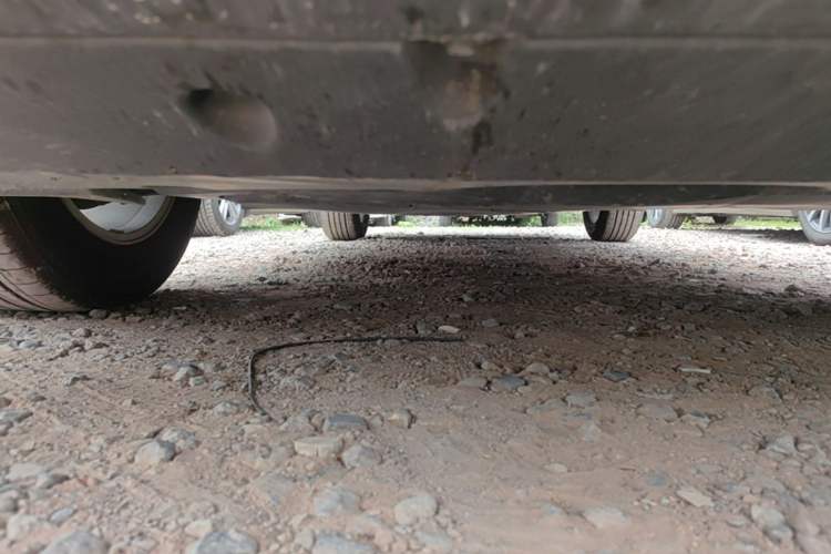 Used Toyota RAV4 2023 2.0L CVT Two-Wheel Drive Urban Edition Chassis Front Right