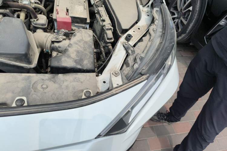 Used Toyota RAV4 2023 2.0L CVT Two-Wheel Drive Urban Edition Engine Bay Left