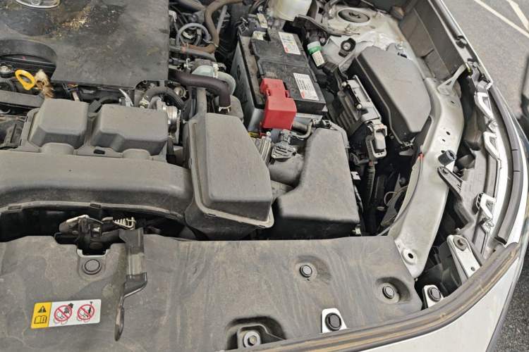 Used Toyota RAV4 2023 2.0L CVT Two-Wheel Drive 20th Anniversary Platinum Edition Engine Bay Left