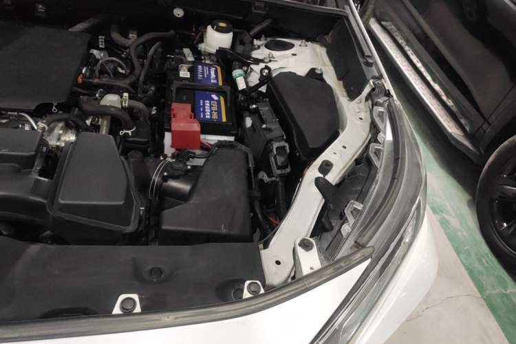 Used Toyota RAV4 2023 2.0L CVT Two-Wheel Drive Urban Edition Engine Bay Left