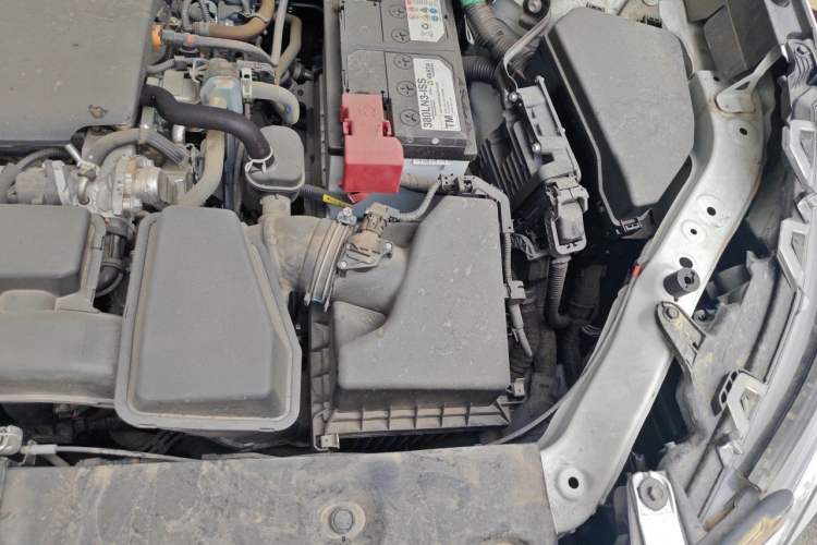 Used Toyota RAV4 2023 2.0L CVT Two-Wheel Drive 20th Anniversary Platinum Edition Engine Bay Left