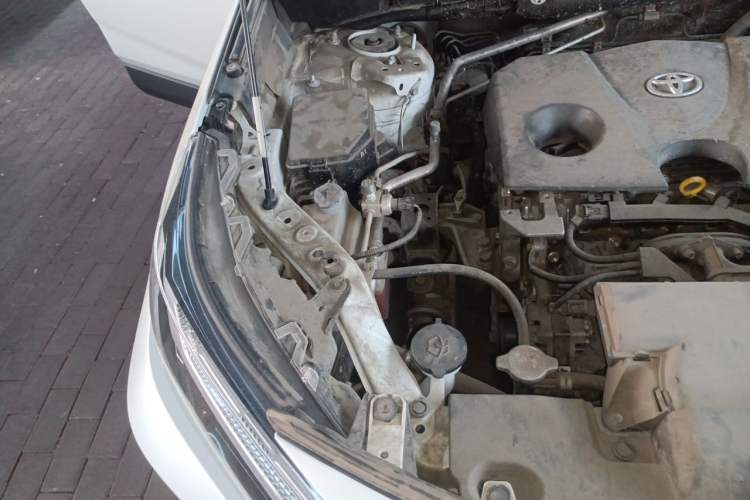Used Toyota RAV4 2023 2.0L CVT Two-Wheel Drive Fashion Plus Edition Engine Bay Right