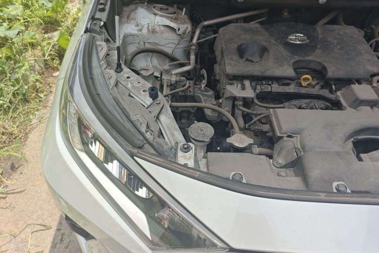 Used Toyota RAV4 2023 2.0L CVT Two-Wheel Drive Urban Edition Engine Bay Right