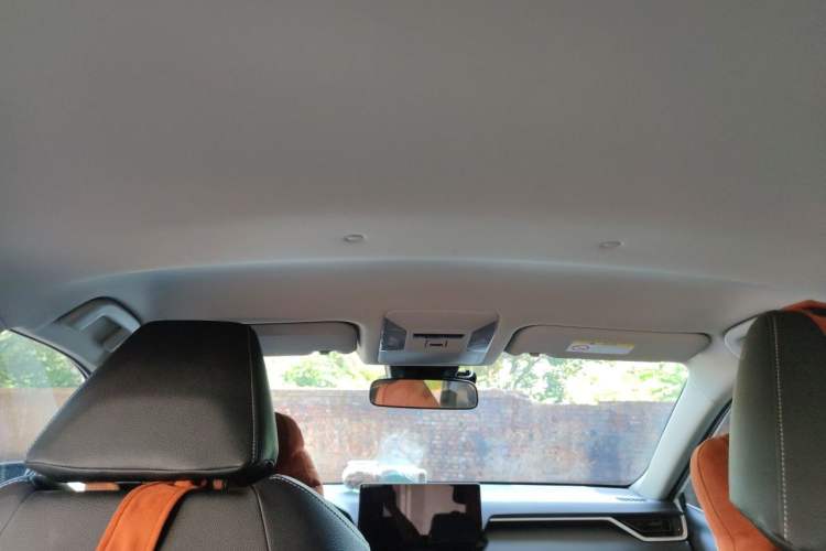 Used Toyota RAV4 2023 2.0L CVT Two-Wheel Drive Urban Edition Headliner