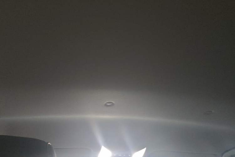Used Toyota RAV4 2023 2.0L CVT Two-Wheel Drive Urban Edition Headliner