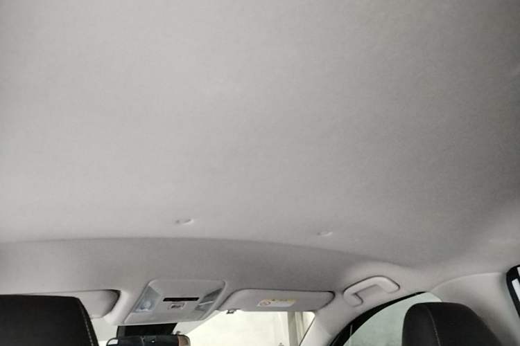 Used Toyota RAV4 2023 2.0L CVT Two-Wheel Drive Urban Edition Headliner
