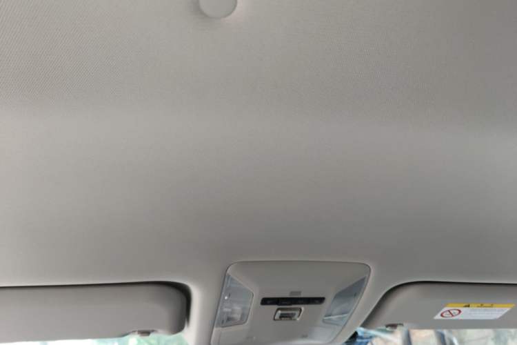Used Toyota RAV4 2023 2.0L CVT Two-Wheel Drive Urban Edition Headliner