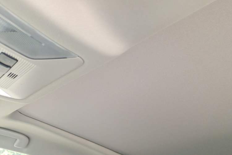 Used Toyota RAV4 2023 2.0L CVT Two-Wheel Drive 20th Anniversary Platinum Edition Headliner