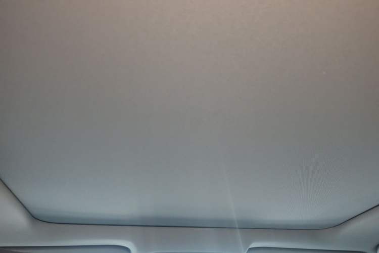 Used Toyota RAV4 2023 2.0L CVT Two-Wheel Drive 20th Anniversary Platinum Edition Headliner