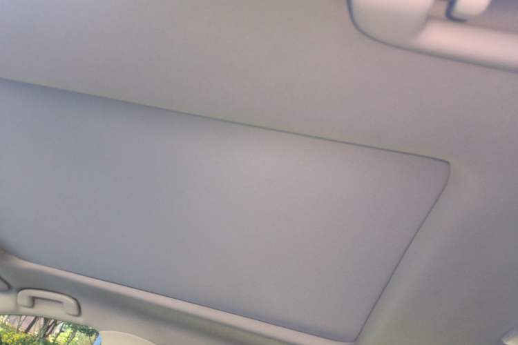 Used Toyota RAV4 2023 2.0L CVT Two-Wheel Drive 20th Anniversary Platinum Edition Headliner