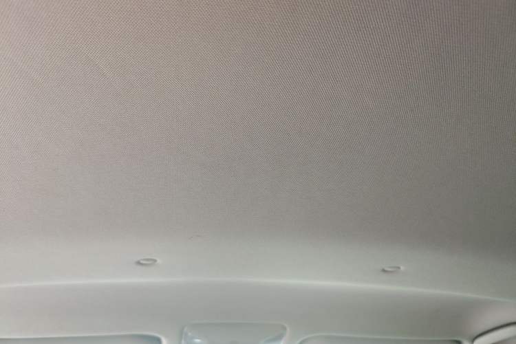 Used Toyota RAV4 2023 2.0L CVT Two-Wheel Drive Urban Edition Headliner