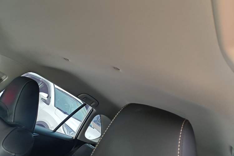 Used Toyota RAV4 2023 2.0L CVT Two-Wheel Drive Urban Edition Headliner
