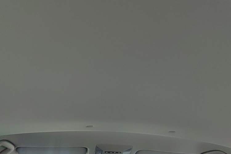 Used Toyota RAV4 2023 2.0L CVT Two-Wheel Drive Urban Edition Headliner