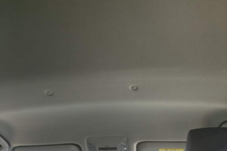 Used Toyota RAV4 2023 2.0L CVT Two-Wheel Drive Urban Edition Headliner