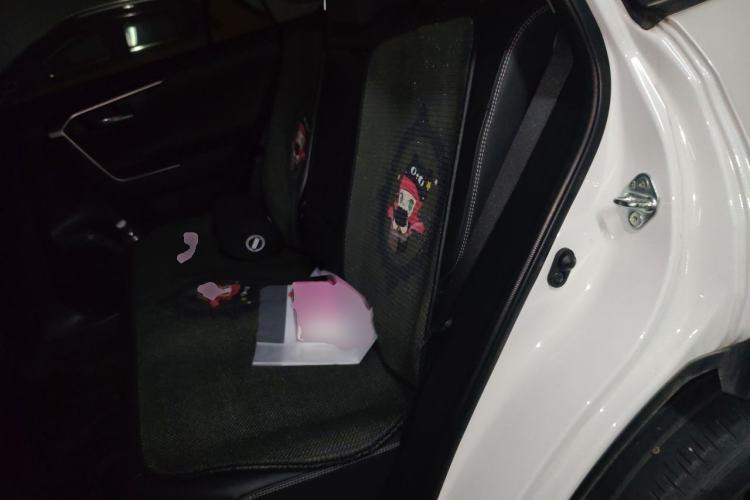 Used Toyota RAV4 2023 2.0L CVT Two-Wheel Drive Fashion Plus Edition Left Rear Seat