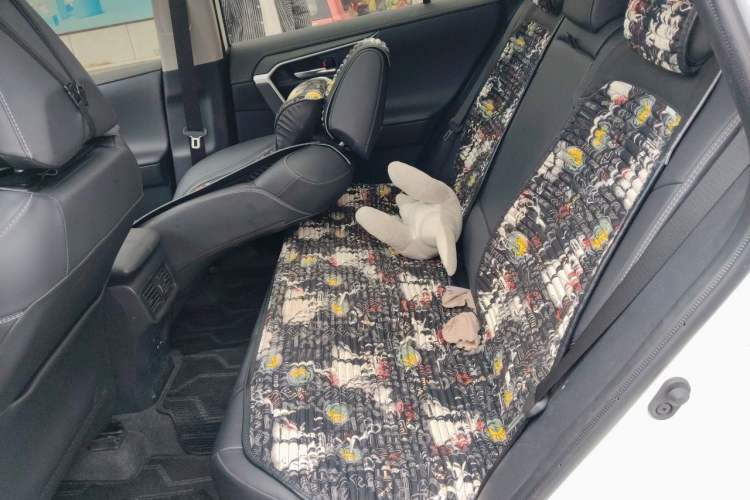 Used Toyota RAV4 2023 2.0L CVT Two-Wheel Drive Fashion Plus Edition Left Rear Seat