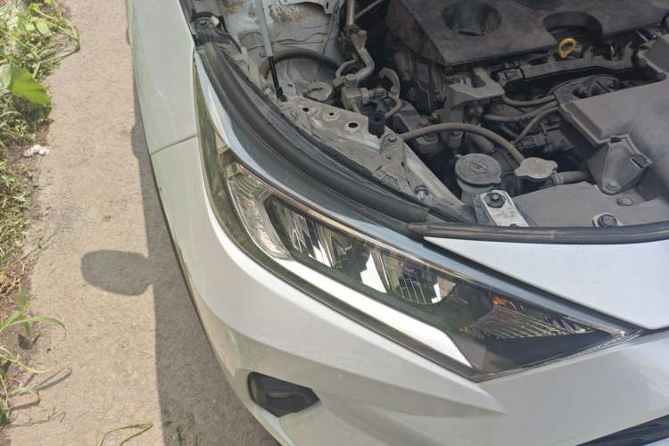 Used Toyota RAV4 2023 2.0L CVT Two-Wheel Drive Urban Edition Right Front Headlight