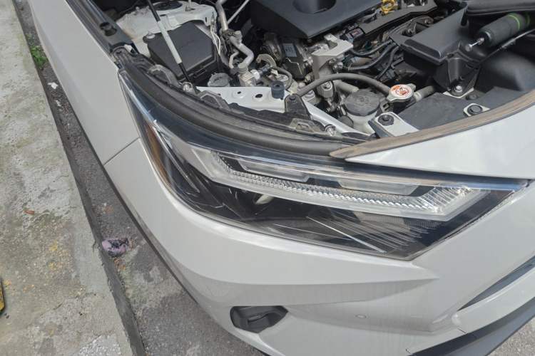 Used Toyota RAV4 2023 2.0L CVT Two-Wheel Drive Fashion Plus Edition Right Front Headlight