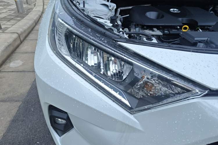 Used Toyota RAV4 2023 2.0L CVT Two-Wheel Drive Urban Edition Right Front Headlight