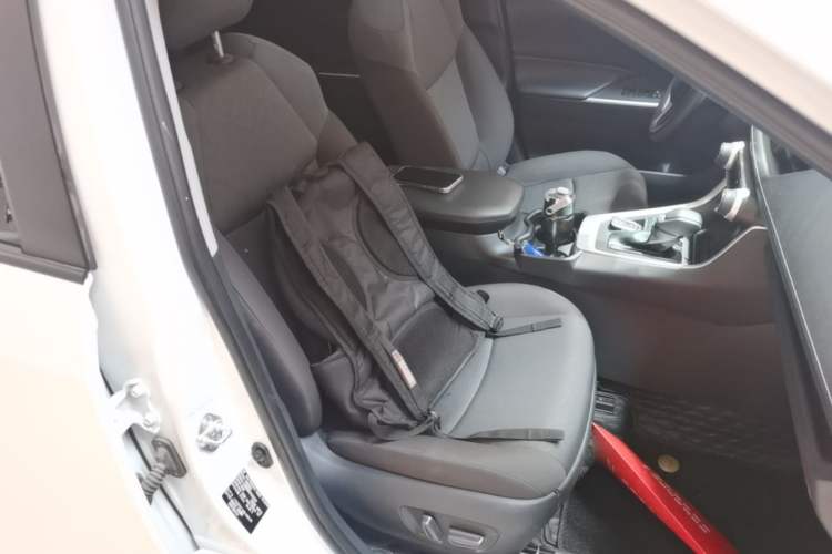 Used Toyota RAV4 2023 2.0L CVT Two-Wheel Drive Fashion Edition Right Front Seat