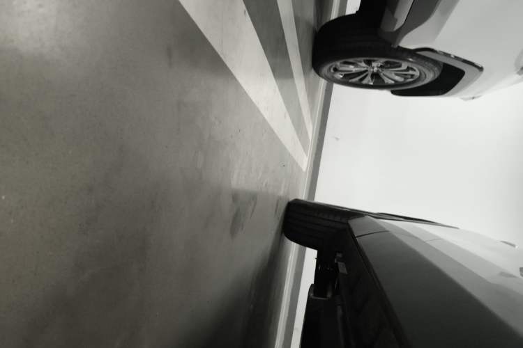 Used Toyota RAV4 2023 2.0L CVT Two-Wheel Drive Fashion Plus Edition Right Side Sill