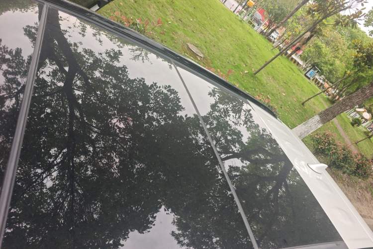 Used Toyota RAV4 2023 2.0L CVT Two-Wheel Drive 20th Anniversary Platinum Edition Roof
