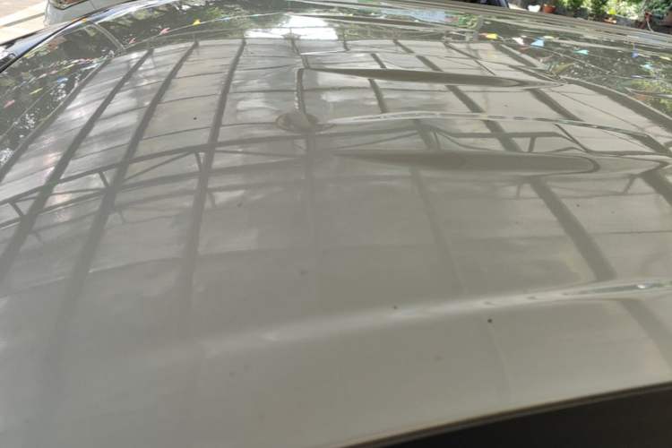 Used Toyota RAV4 2023 2.0L CVT Two-Wheel Drive Urban Edition Roof