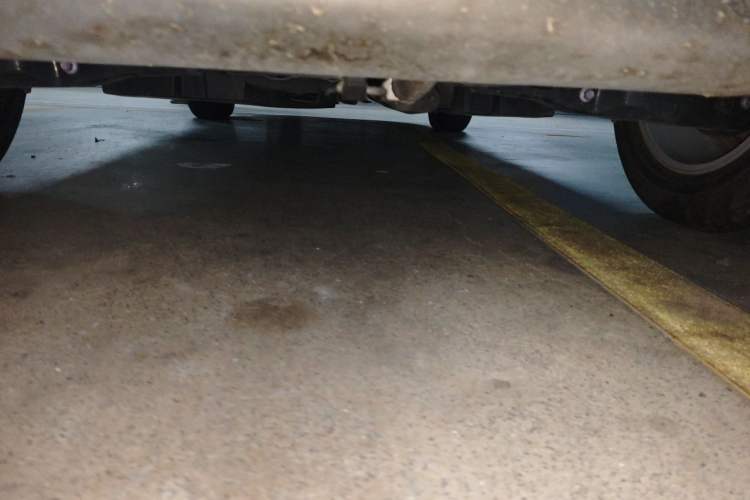 Used Toyota RAV4 2024 2.0L CVT Two-Wheel Drive Urban Edition Chassis Rear